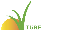 Synthetic Turf Cleaning