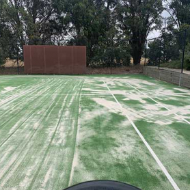 Synthetic Turf Cleaning 2